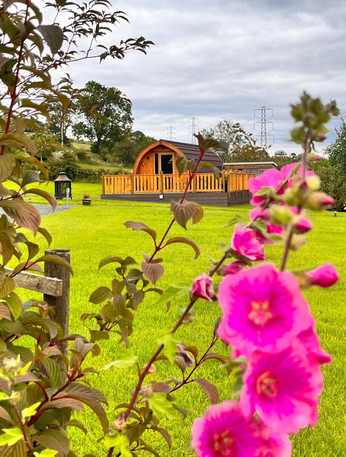 Cairnfold Cabins Kilsyth Exterior photo